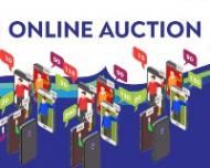 Fowey Festival Online Action  you can now view the items 